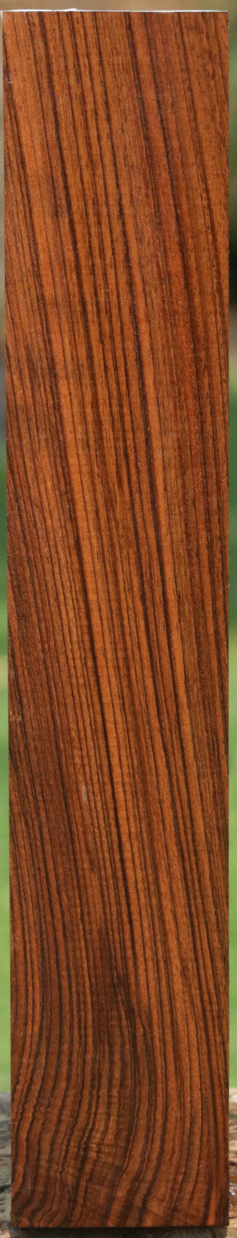 AAA+ English Walnut Forend