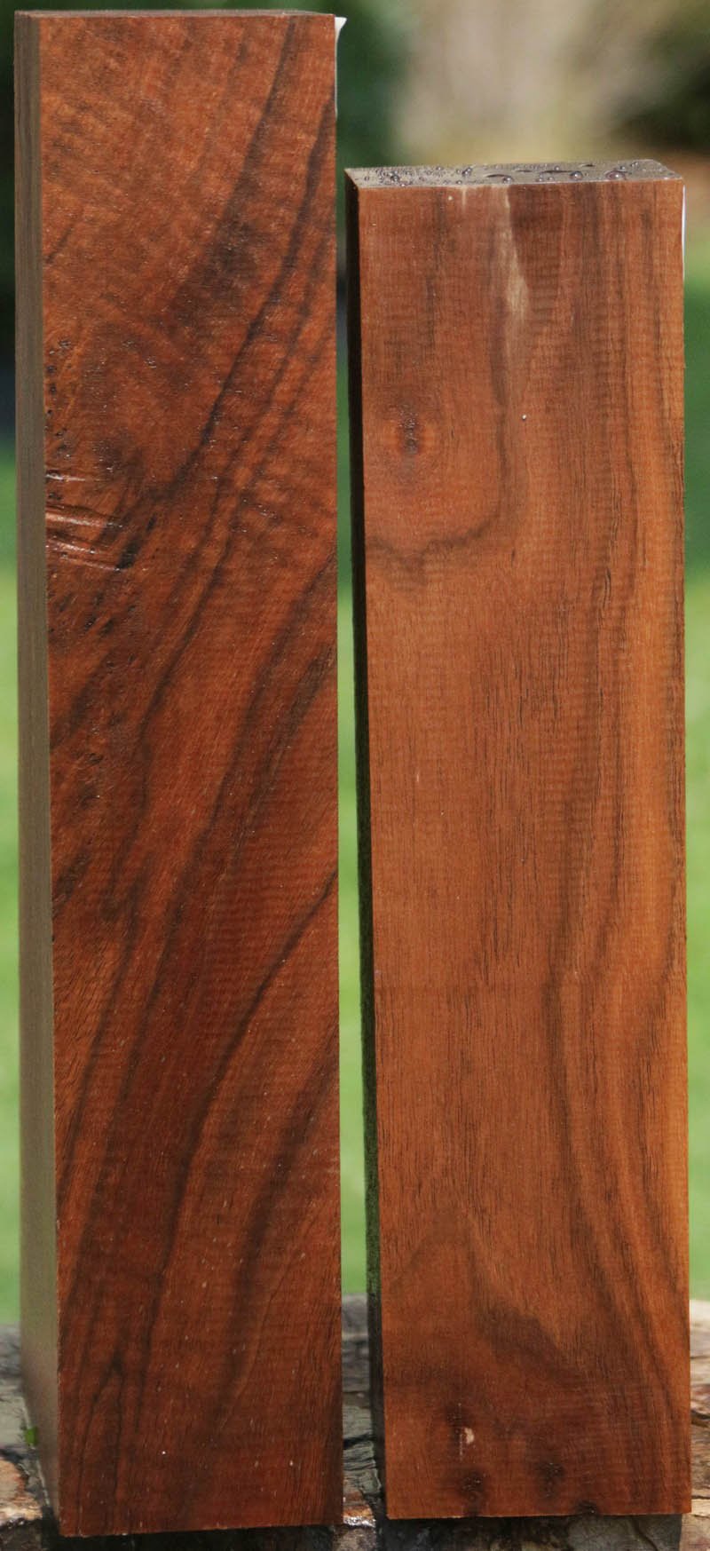 AAA+ Claro Walnut Gun Blank (Butt Stock)