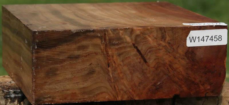 California Cottonwood Burl Bowl Blank