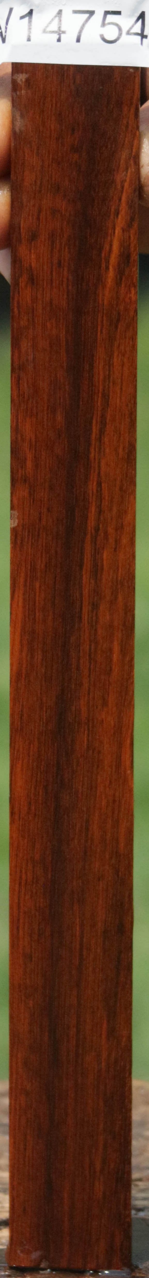 Exhibition Snakewood Lumber