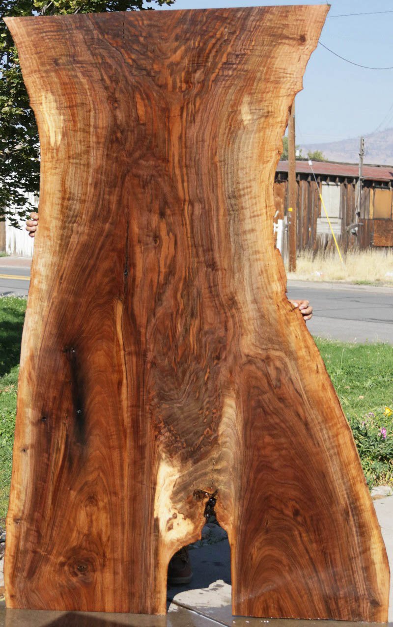 Extra Fancy Fiddleback Walnut Slab