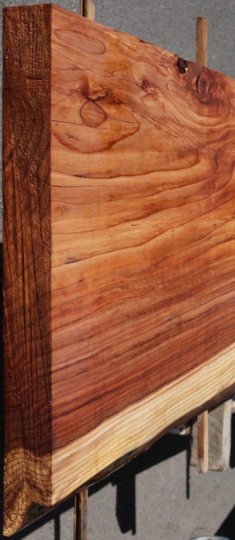 Redwood Slab