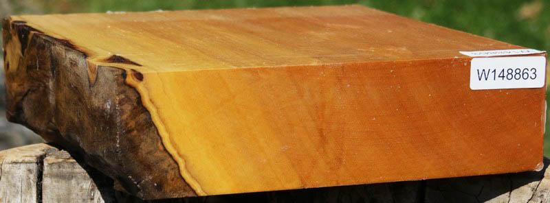 Piquiarana Bowl Blank