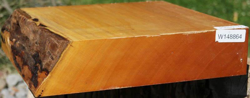 Piquiarana Bowl Blank