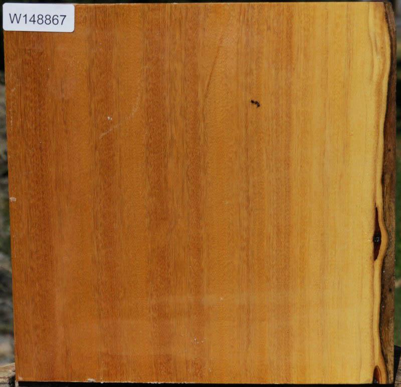 Piquiarana Bowl Blank