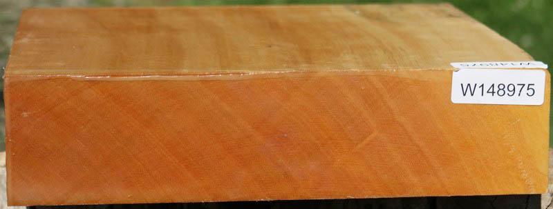 Piquiarana Bowl Blank