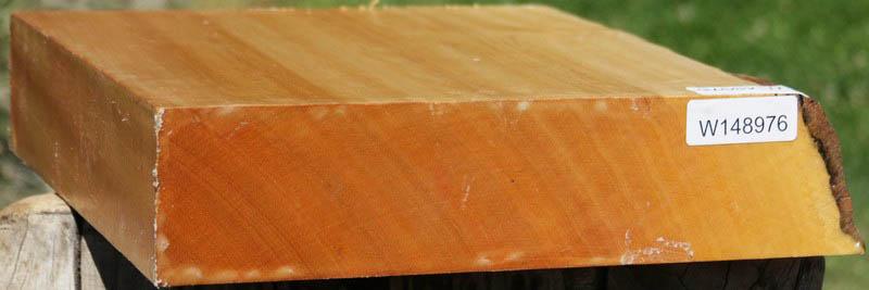 Piquiarana Bowl Blank