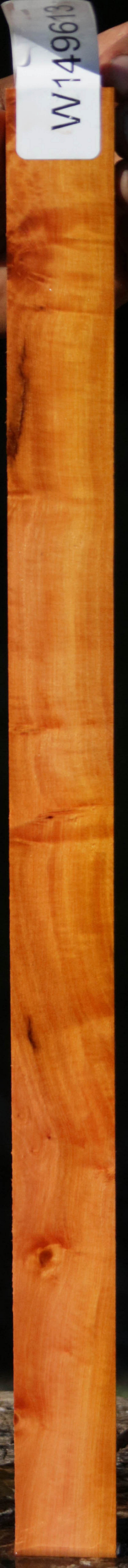 Pink Ivory Micro Lumber