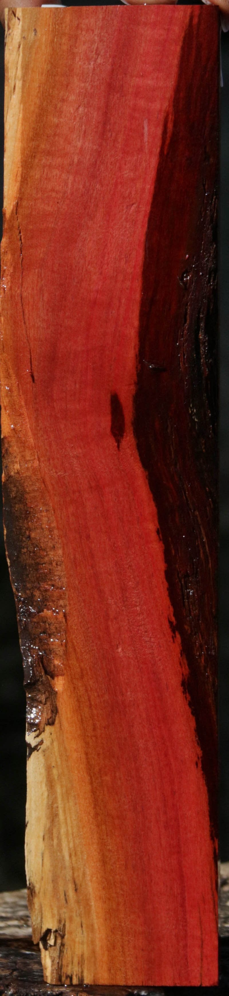 Pink Ivory Live Edge Lumber