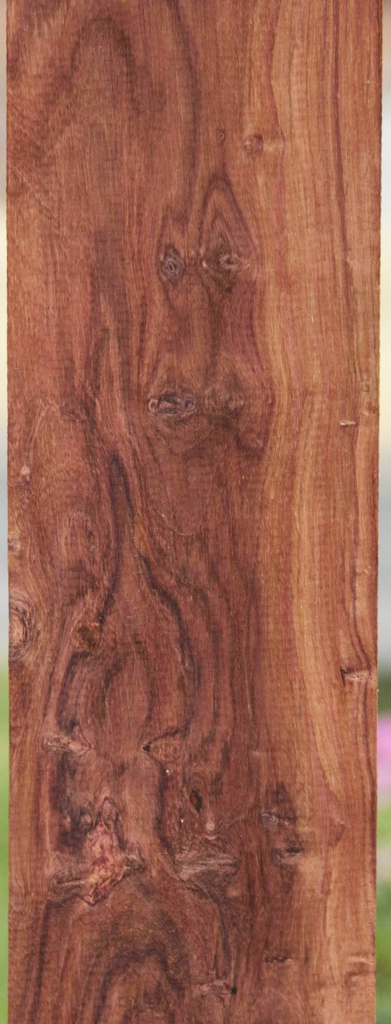 Honduras Rosewood Lumber
