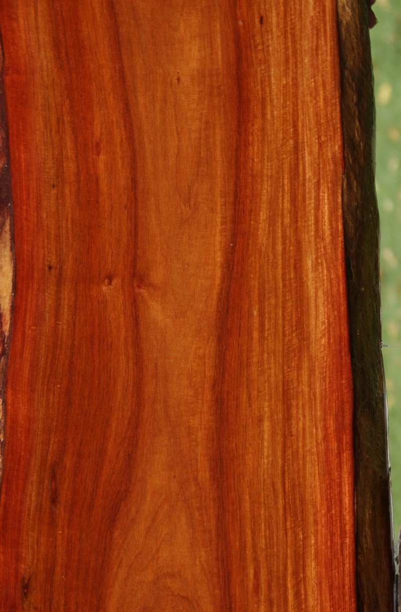 Fiddleback Narra Lumber Live Edge