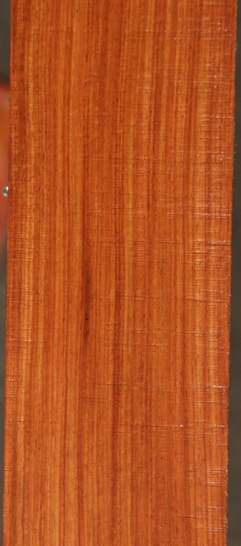 Narra Jumbo Guitar Set