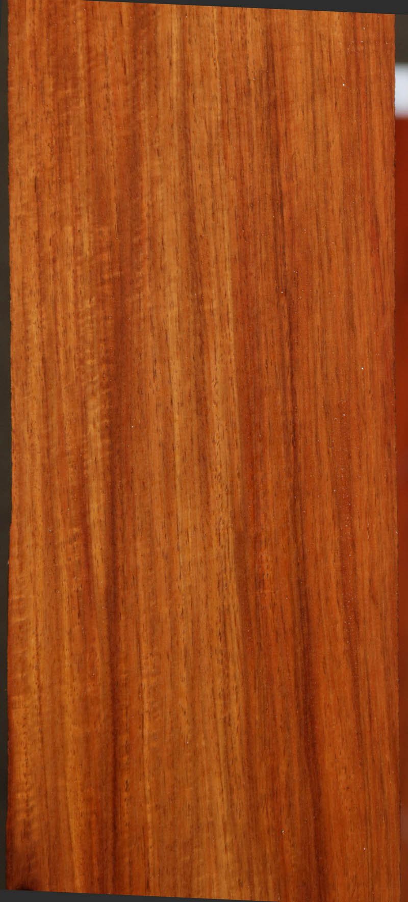 Narra Jumbo Guitar Set