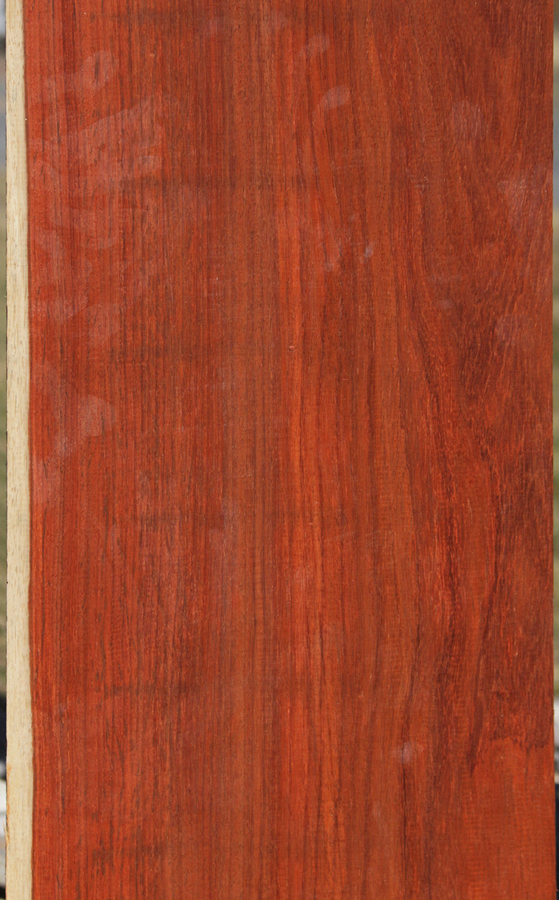 African Padauk Lumber