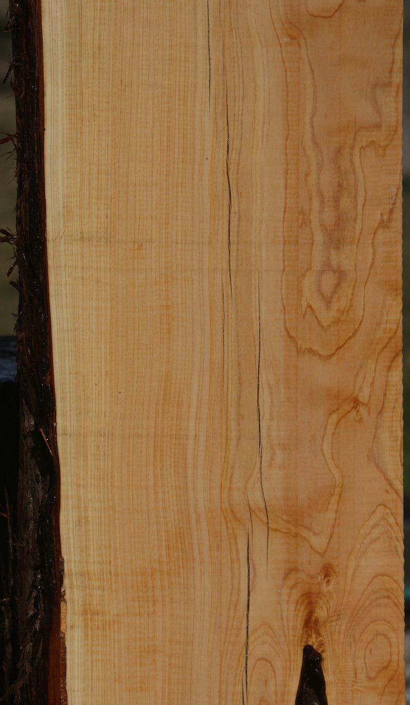 Rustic Live Edge Juniper Mantel