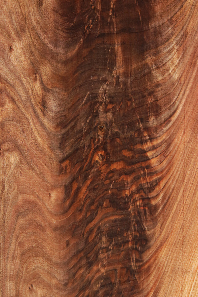 Extra Fancy Claro Walnut Crotchwood Slab