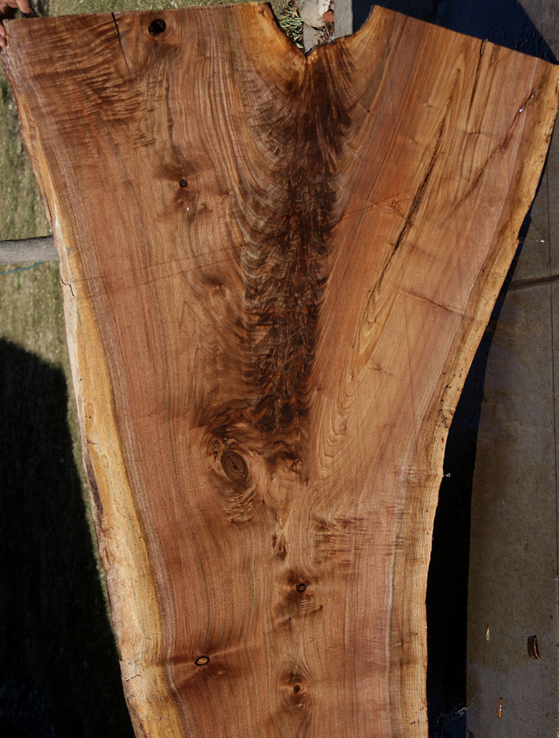 Extra Fancy Claro Walnut Crotchwood Slab