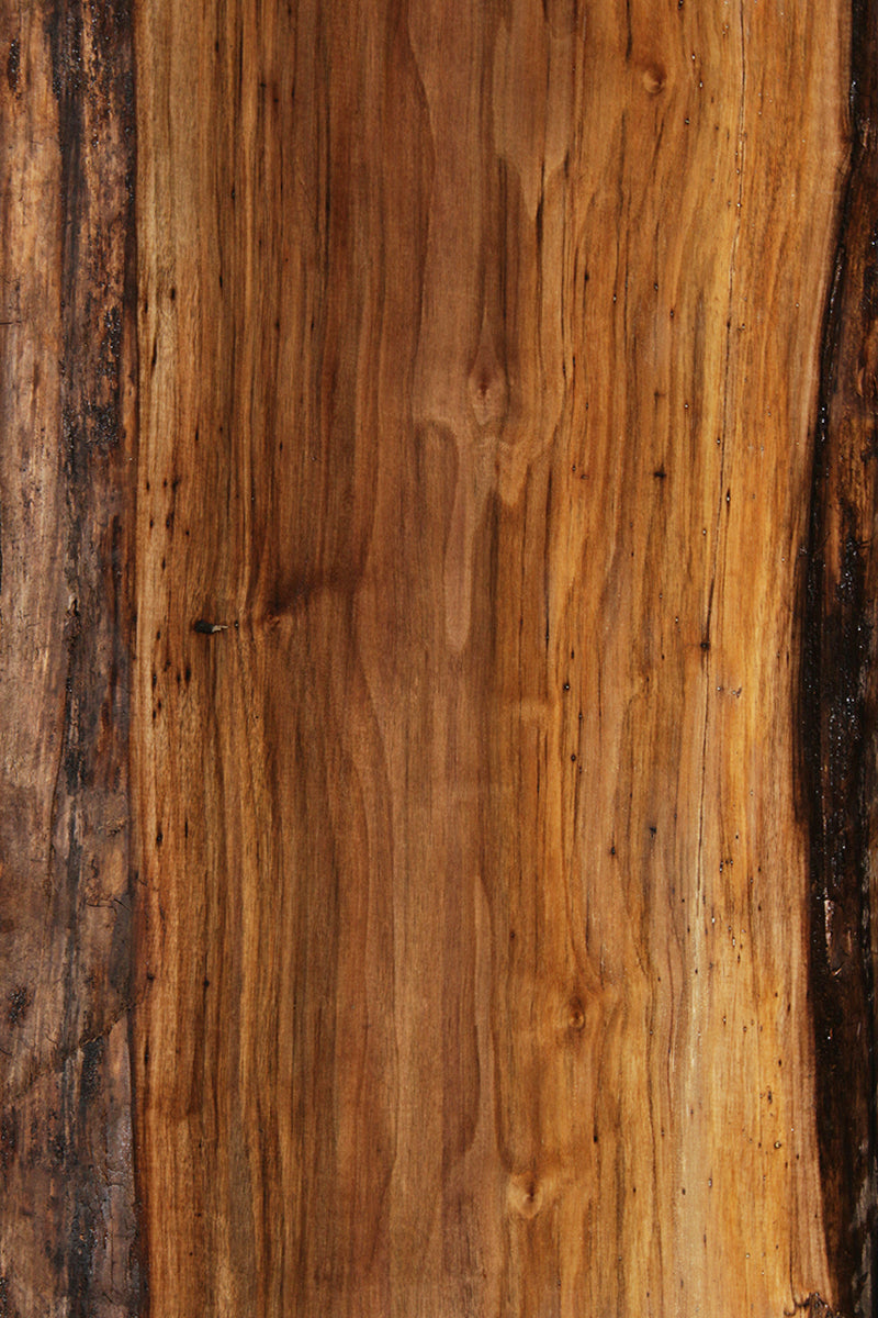 Claro Walnut Crotchwood Slab