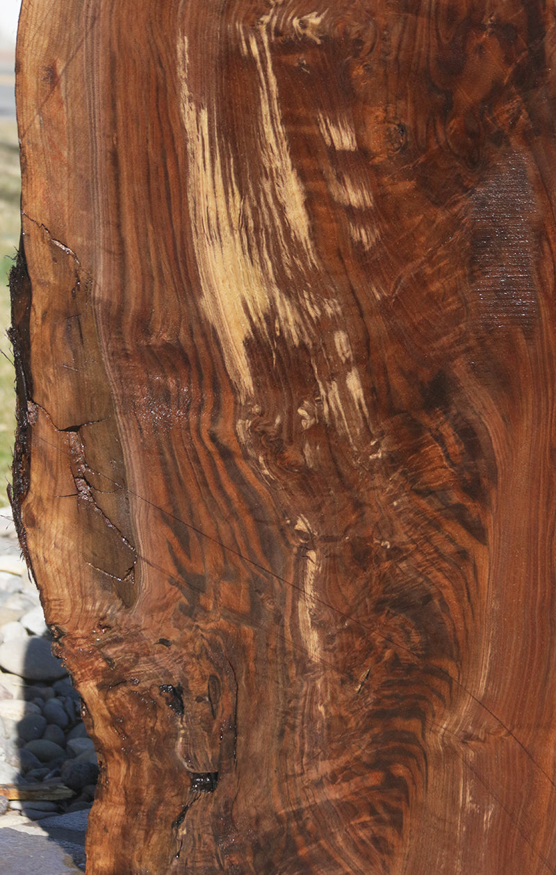 Extra Fancy Claro Walnut Crotchwood Slab
