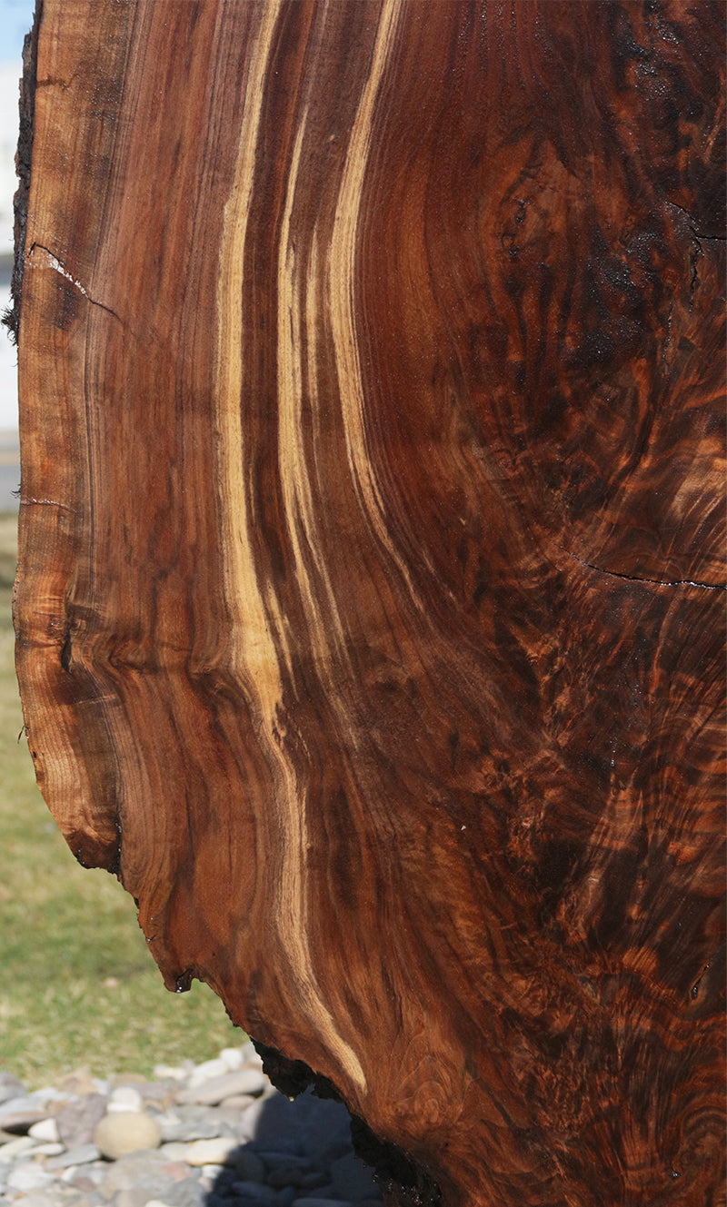 Claro Walnut Slab (Free Shipping Excluded)