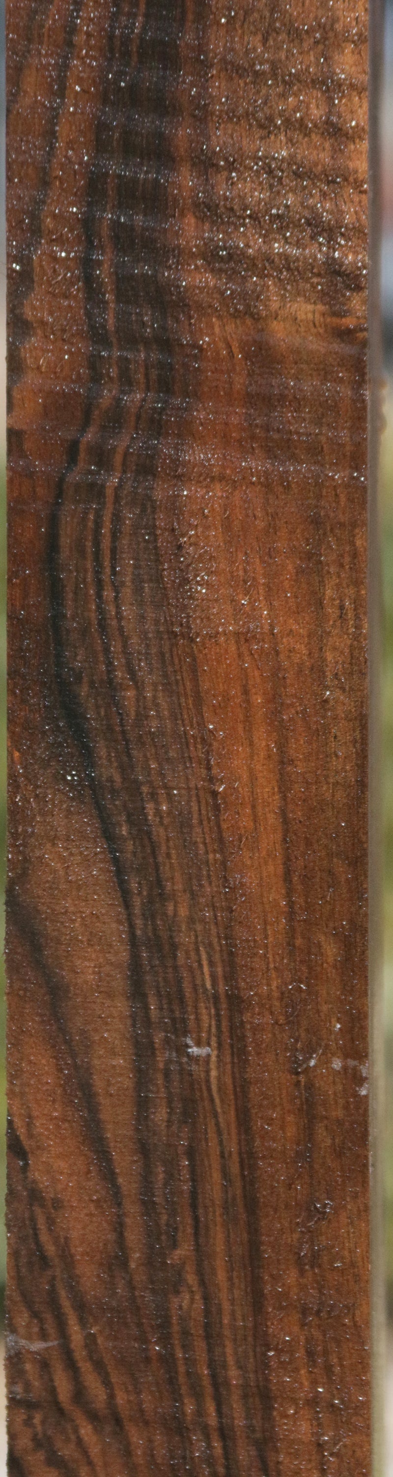 Exhibition English Walnut Rifle Stock