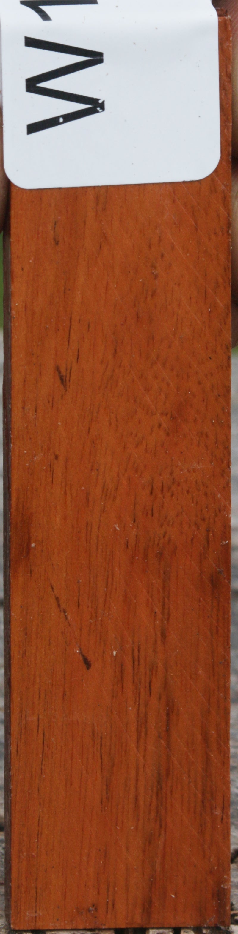 Striped Snakewood Micro Lumber