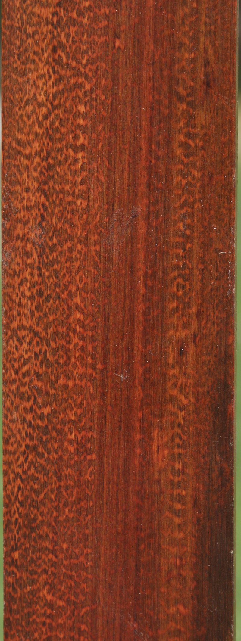 Exhibition Snakewood Instrument Fingerboard