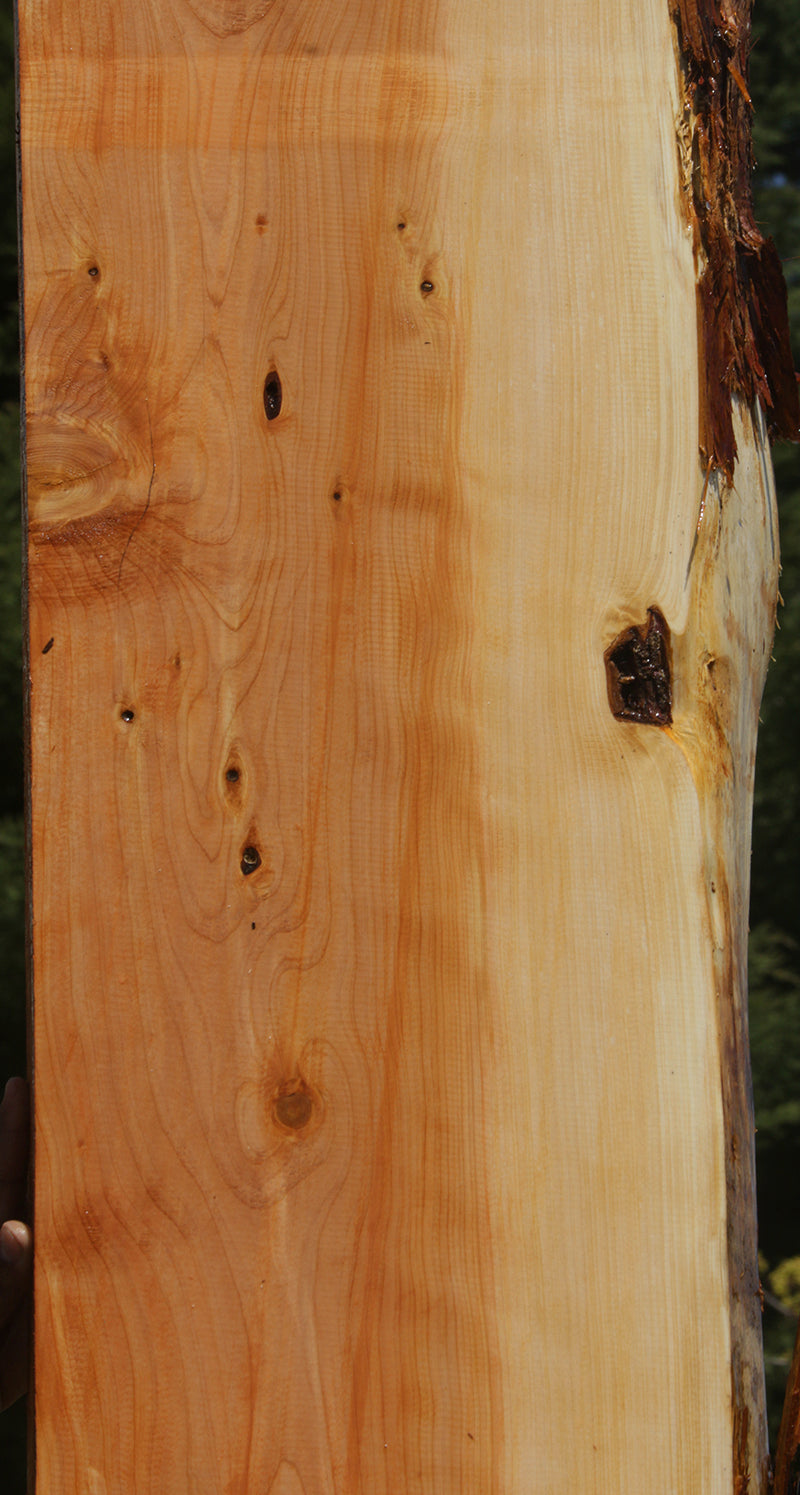 Rustic Juniper Live Edge Mantel
