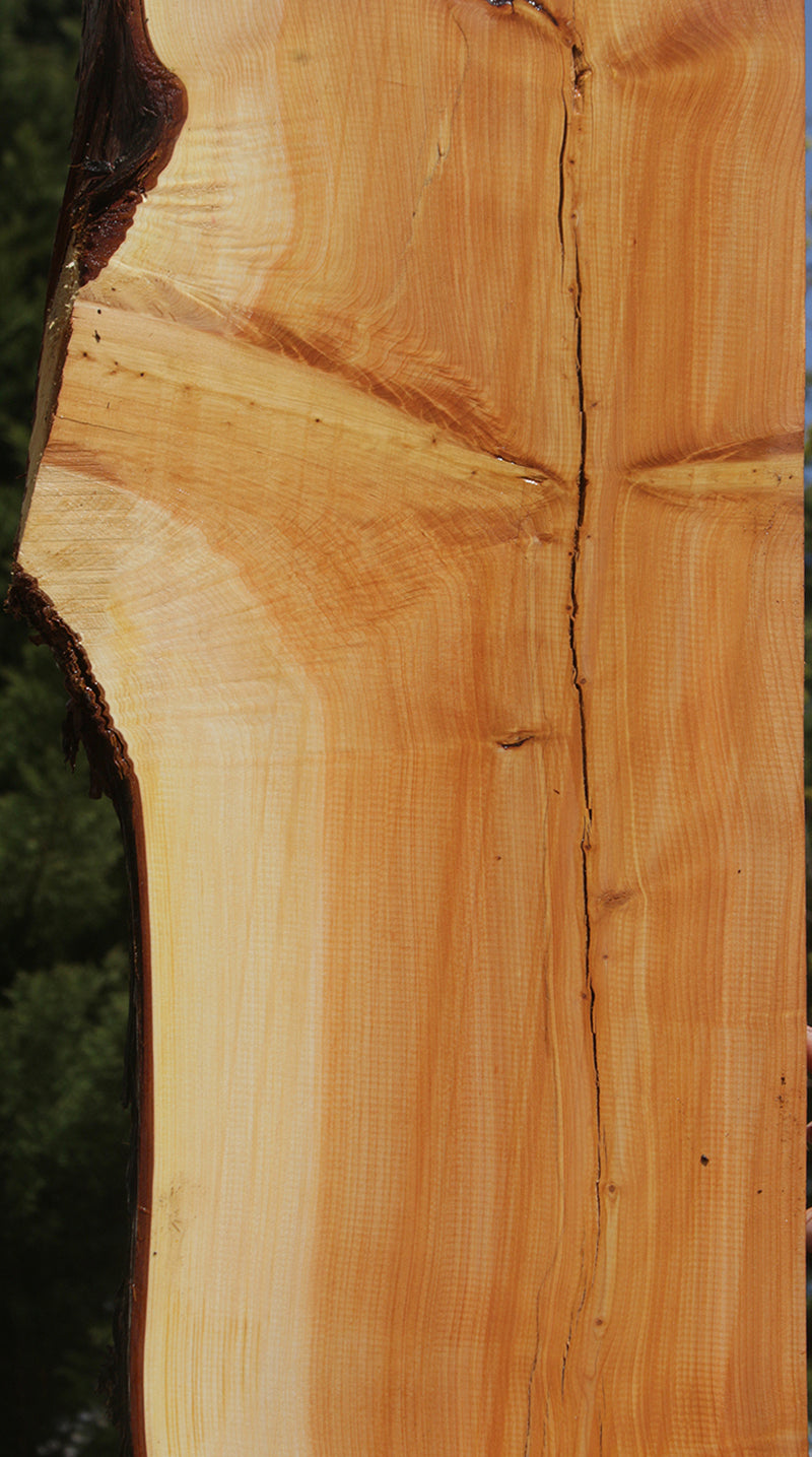 Rustic Juniper Live Edge Mantel