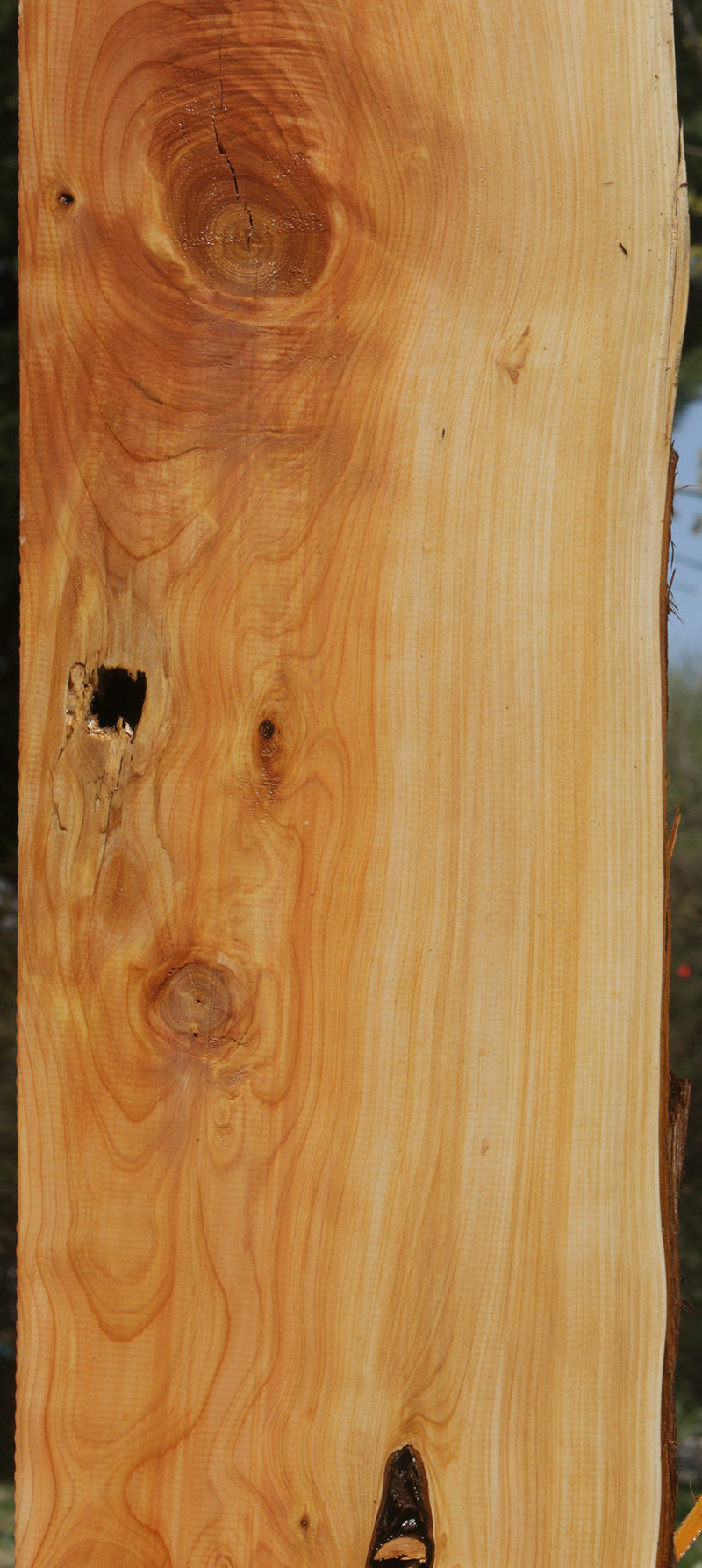 Rustic Juniper Live Edge Mantel