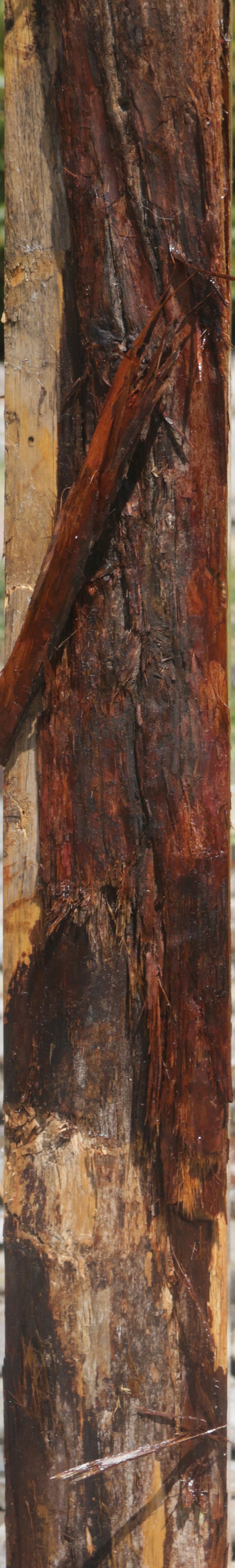 Rustic Juniper Live Edge Mantel