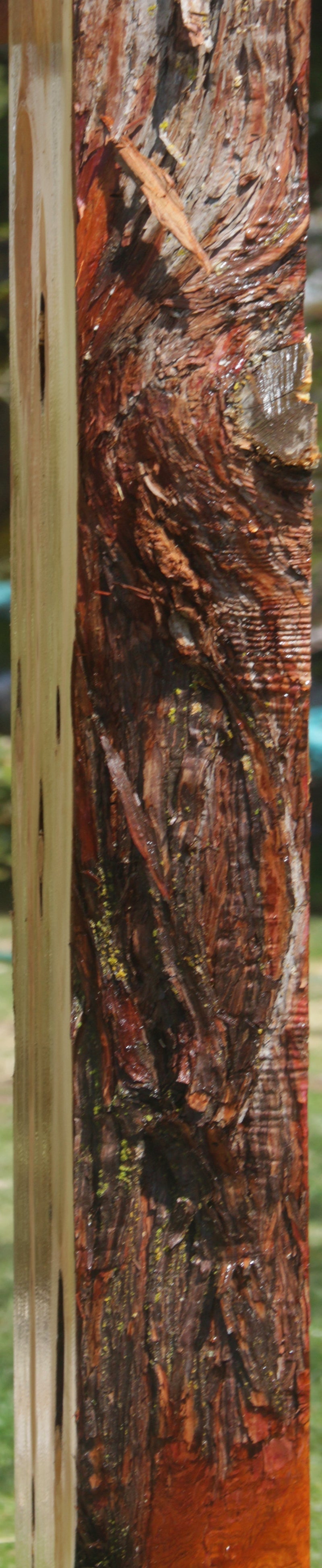 Rustic Juniper Live Edge Mantel