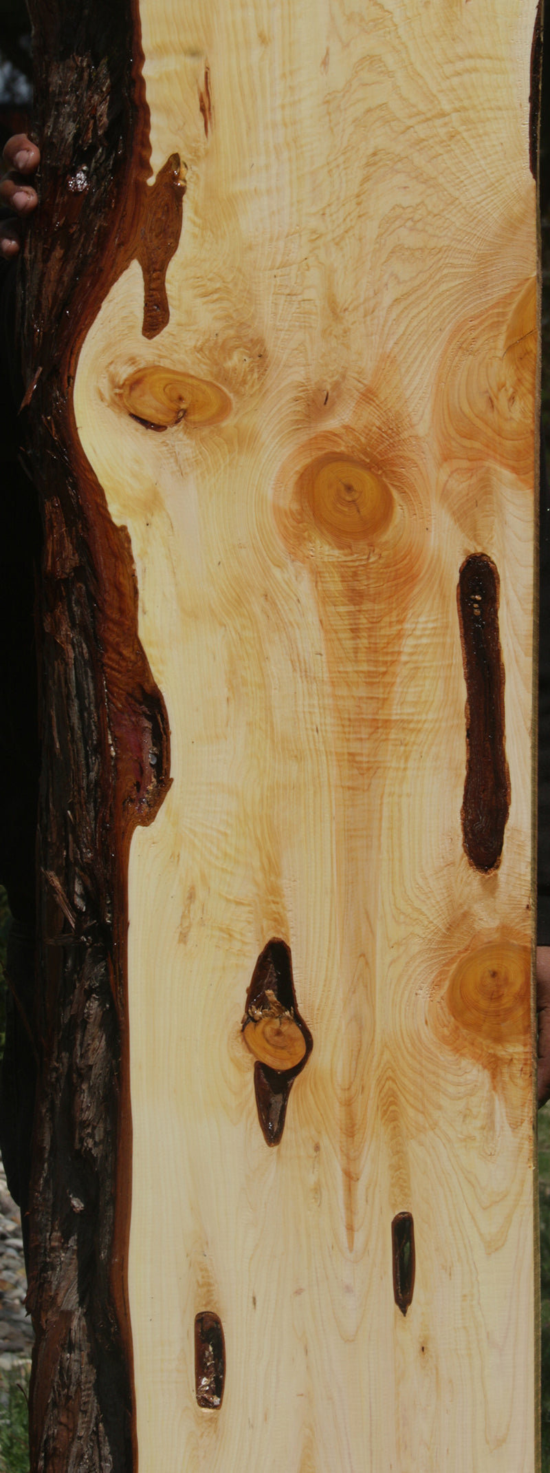 Rustic Juniper Live Edge Mantel