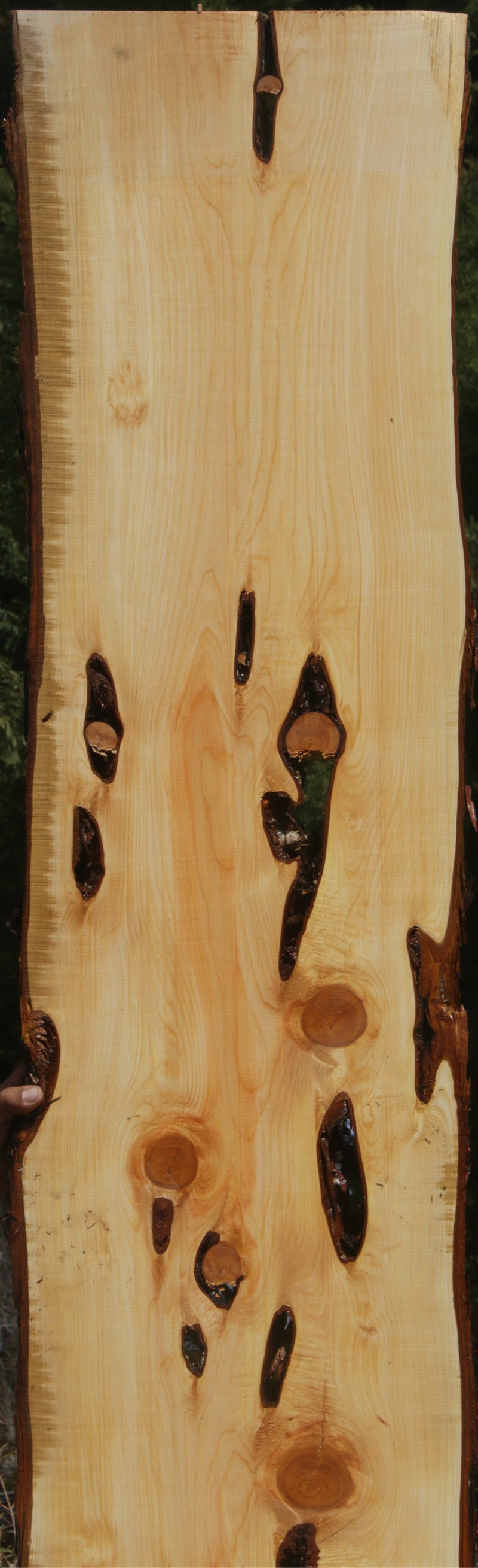 Rustic Knotty Juniper Lumber