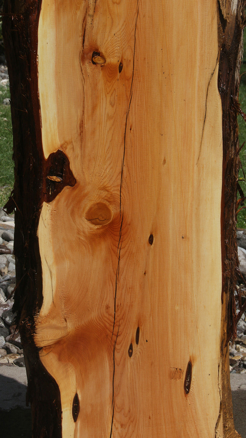 Rustic Juniper Live Edge Lumber