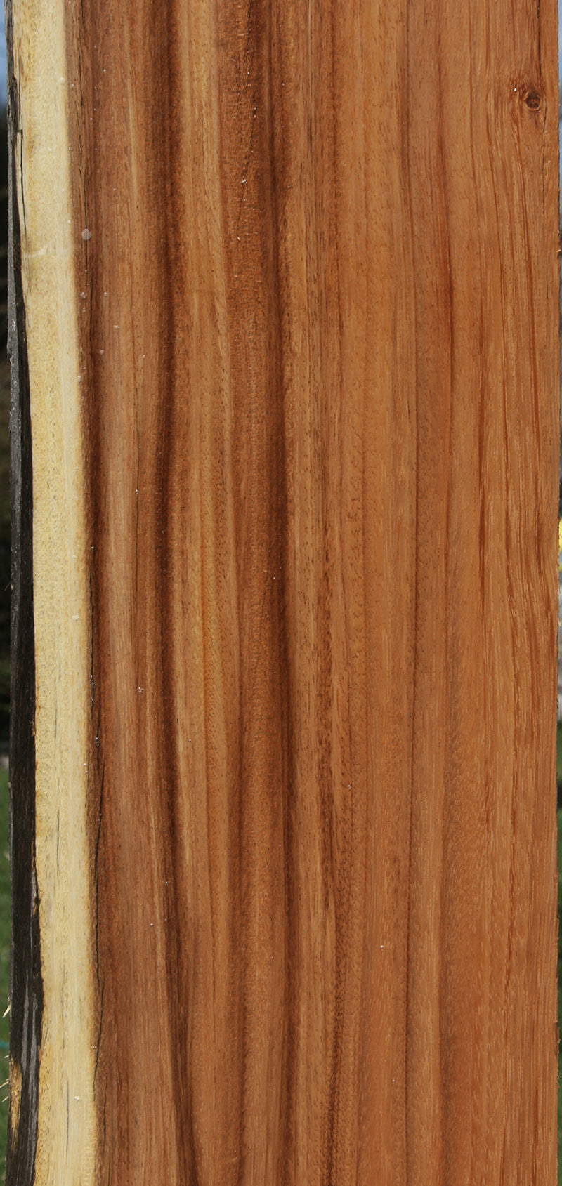 Monkeypod Live Edge Slab