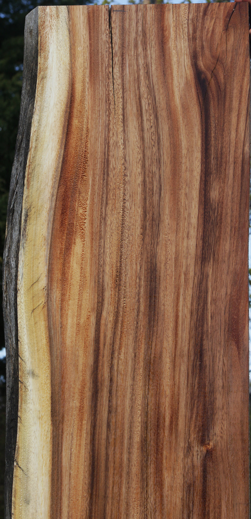 Monkeypod Live Edge Slab