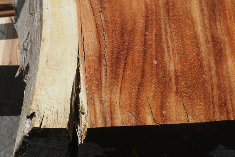 Rustic Monkeypod Live Edge Slab