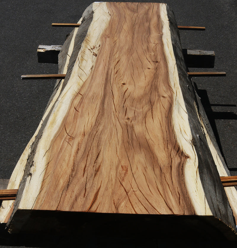 Monkeypod Live Edge Slab