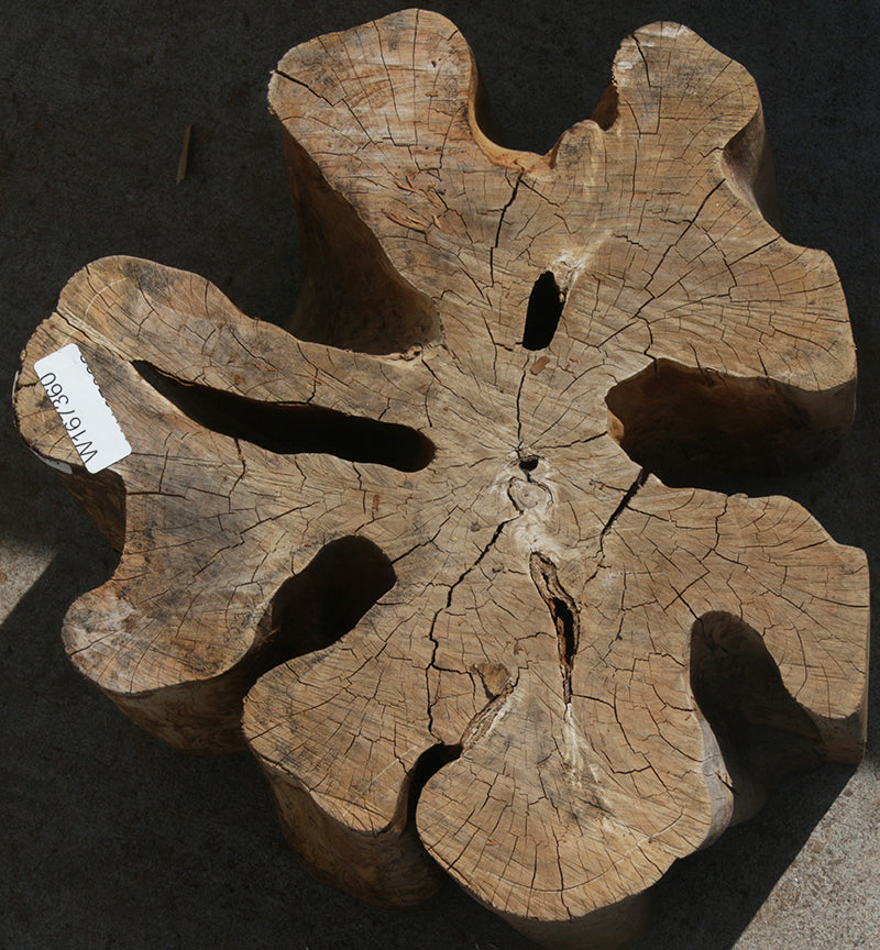 Brasiletta Table Base (Item Ships Freight Additional Fee)