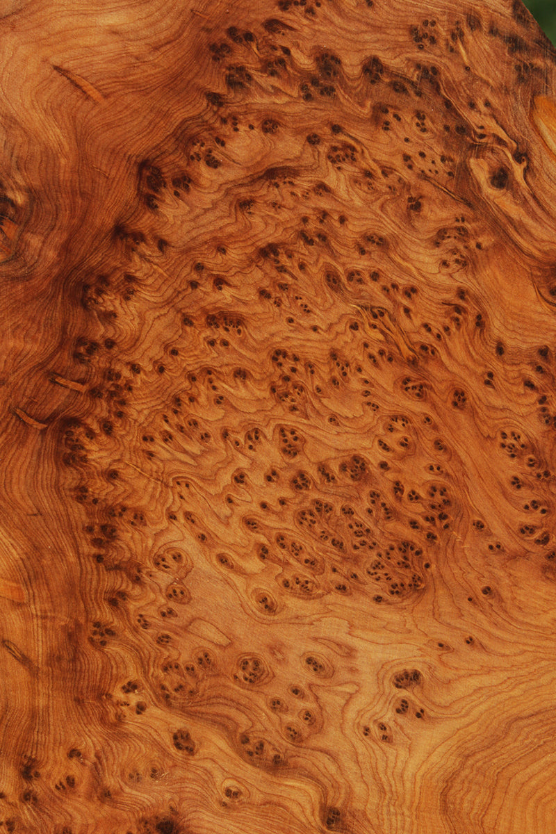 Extra Fancy Thuya Burl Lumber