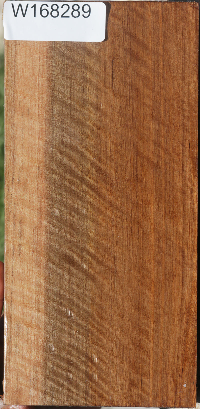 Exhibition Curly Asian Satinwood Lumber