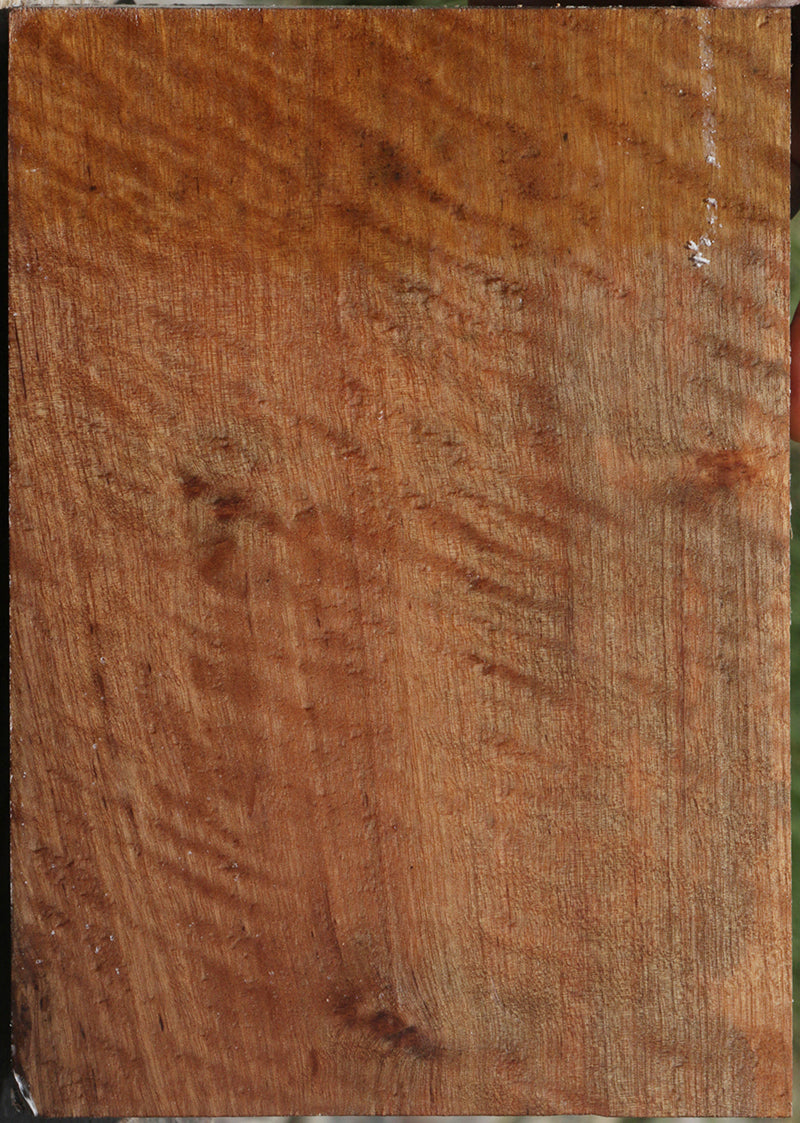 Exhibition Curly Asian Satinwood Lumber