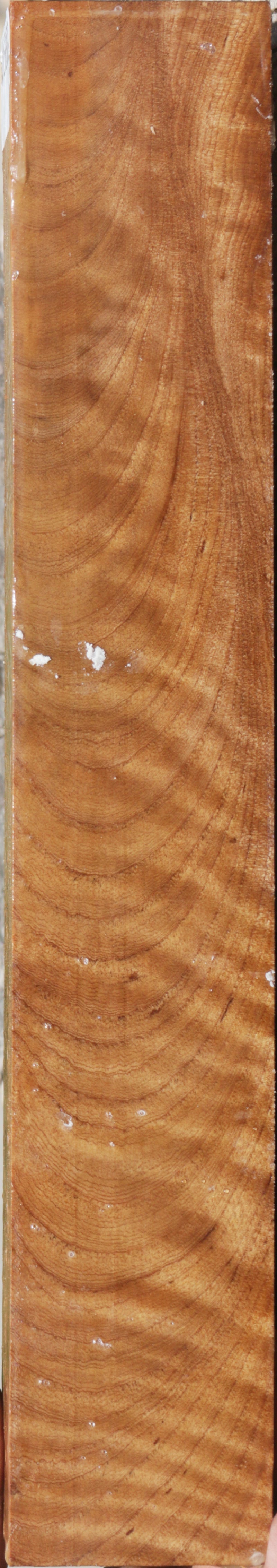 Exhibition Curly Asian Satinwood Lumber