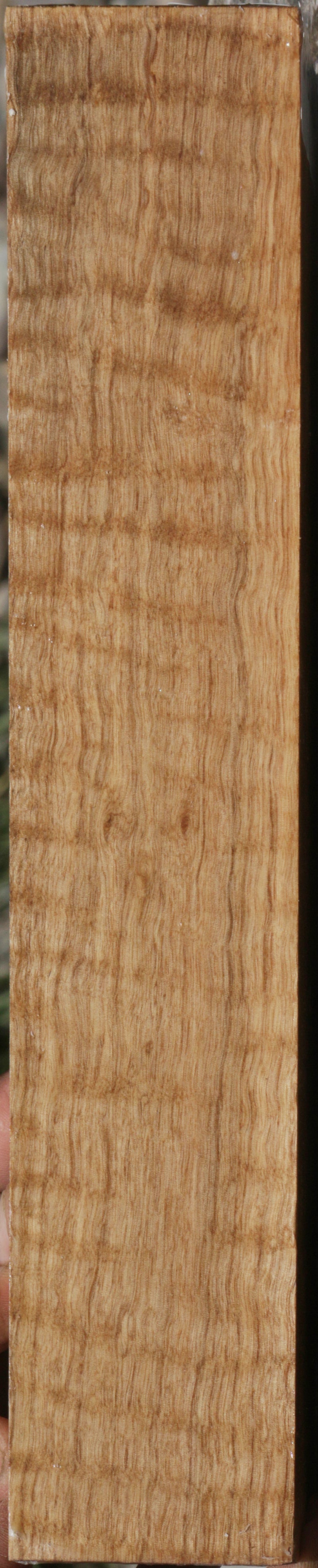 Exhibition Curly Asian Satinwood Lumber