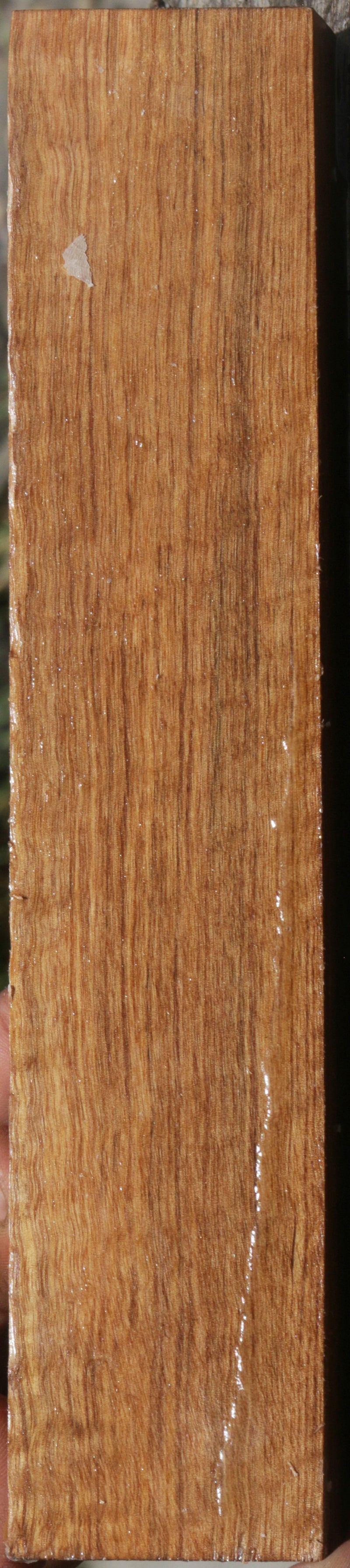 Exhibition Curly Asian Satinwood Turning Square