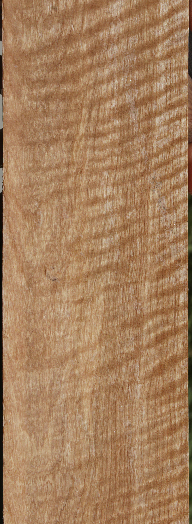 Exhibition Curly Asian Satinwood Lumber