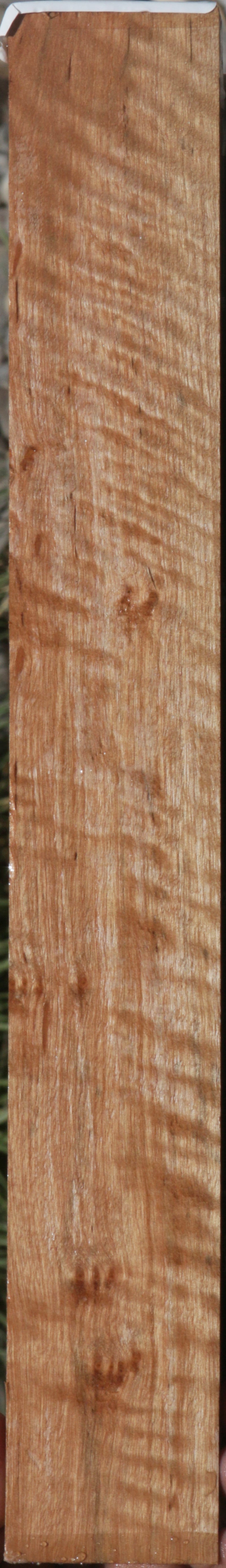 Exhibition Curly Asian Satinwood Lumber
