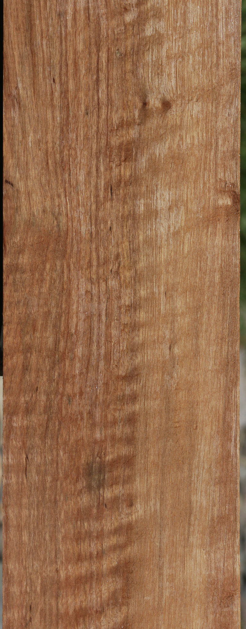 Exhibition Curly Asian Satinwood Lumber