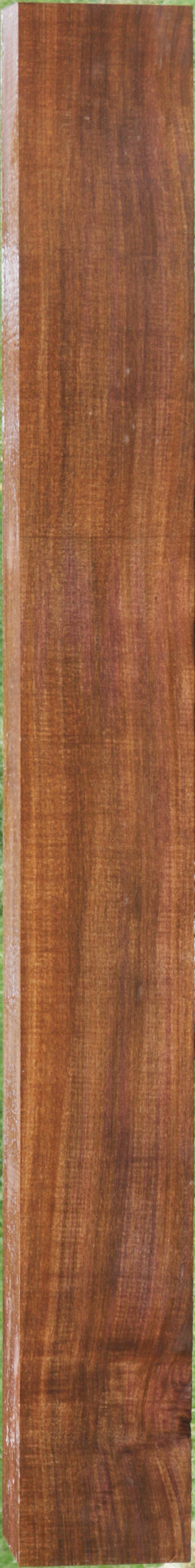 Extra Fancy Fiddleback Mansonia Lumber